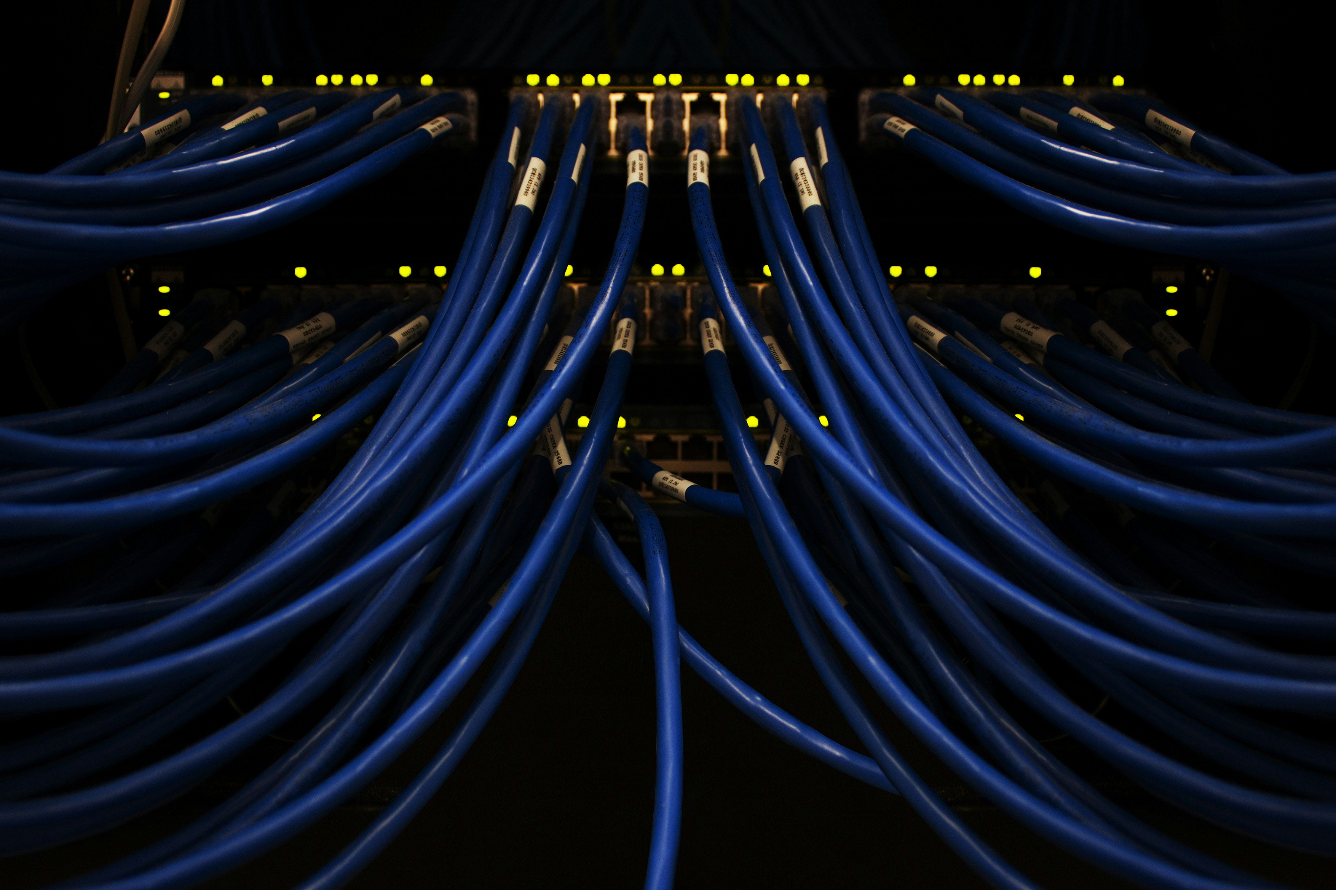 IT Project Management services